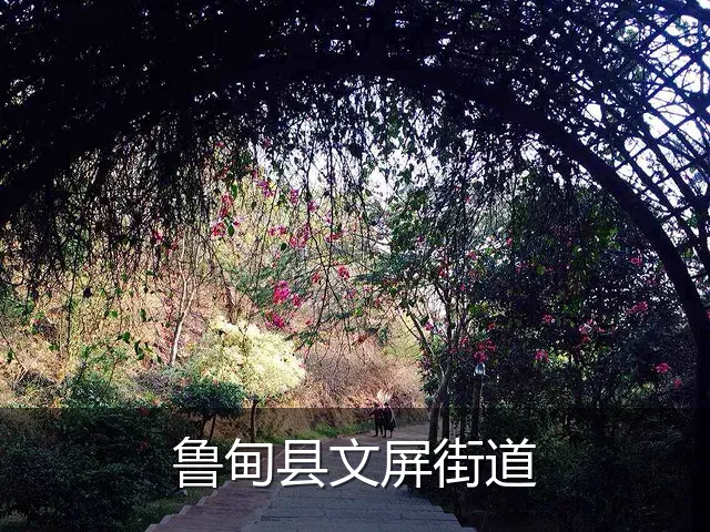 鲁甸县文屏街道